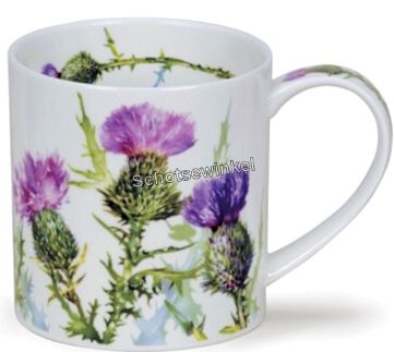 Dunoon Orkney Scottish Thistle, Mok